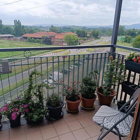 Апартаменти In Casa Zoe Венарія-Реале Екстер'єр фото