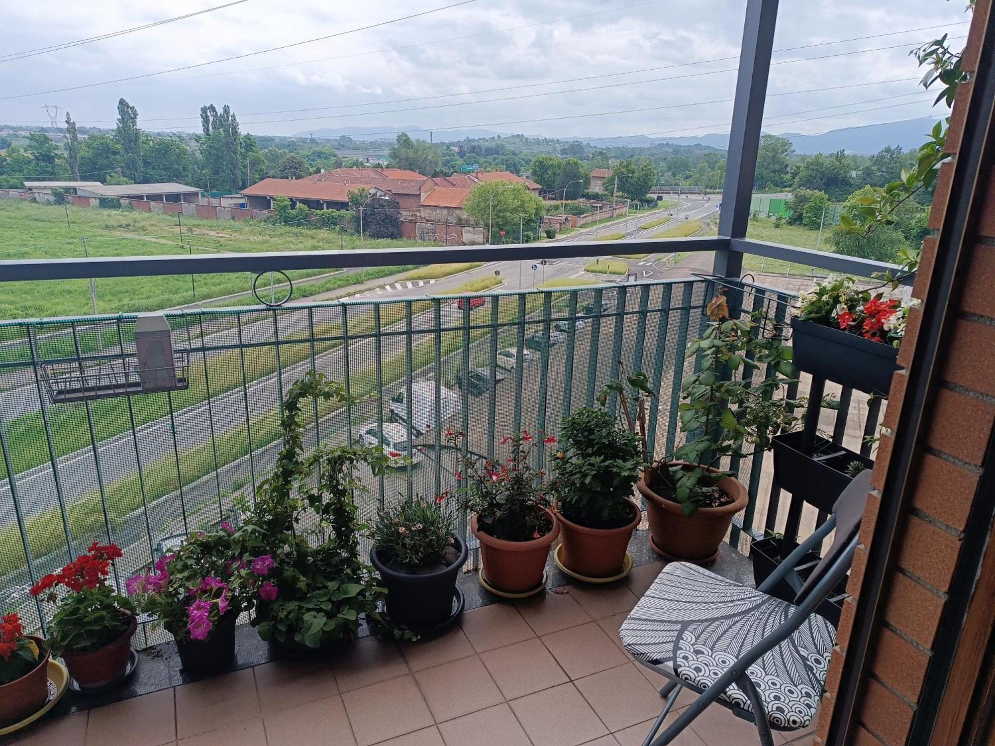 Апартаменти In Casa Zoe Венарія-Реале Екстер'єр фото
